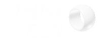 TriboBall logo plain bearings ELCEE